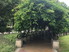 -府河摄影公园