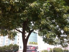 -米兰超市(红桥店)
