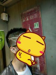 -艾嘉形象