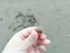 -南澳海滩