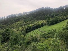 -敬亭山风景名胜区