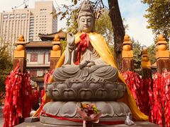 -西安大兴善寺