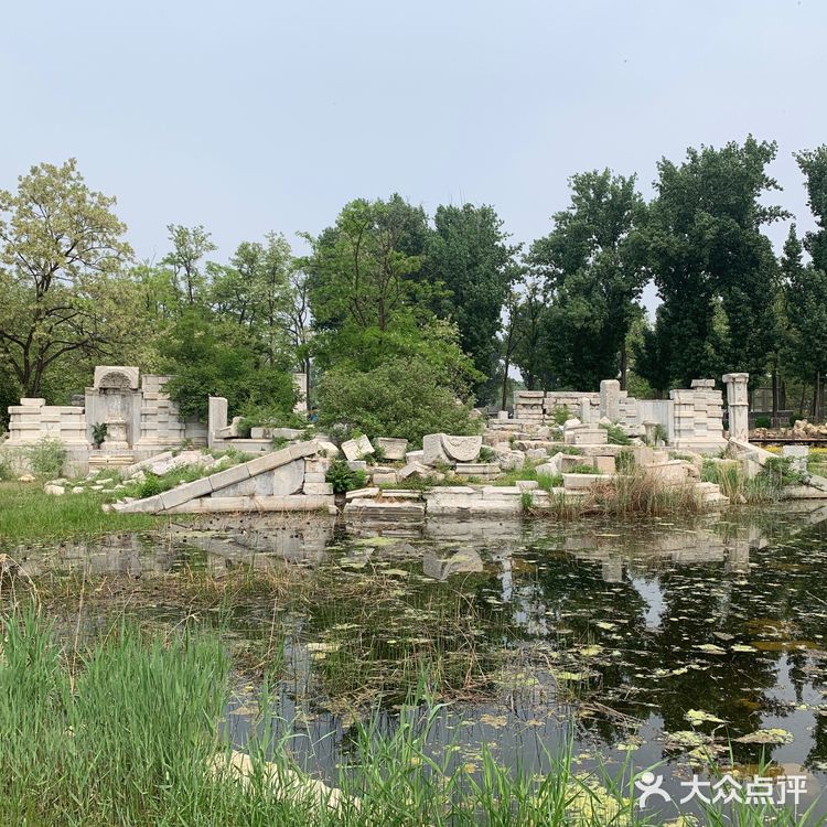 圆明圆-最美的后花园🥀🥀🥀