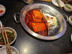 -大龙燚火锅(南山大道店)