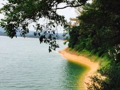 -广州市流溪河国家森林公园