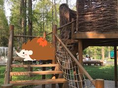 -黄海国家森林公园