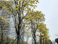 -洲头咀公园