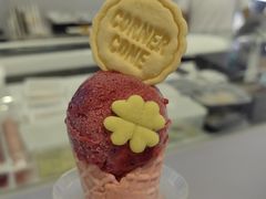 -CORNER CONE GELATO酷矿手作霜淇淋(南头古城店)