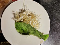 -九鼎轩脆毛肚火锅(三钢里店)