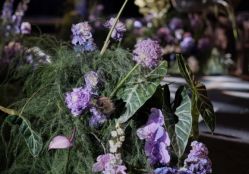 -天邑国际酒店·宴会厅