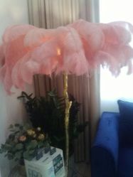 -新蝶变皮肤管理中心