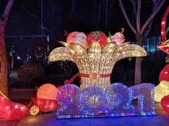 -南宫五洲植物乐园