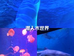 -正佳极地海洋世界