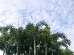 -海沧湾公园