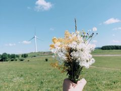 -塞罕坝国家级自然保护区