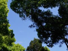 -福建师范大学(仓山校区)