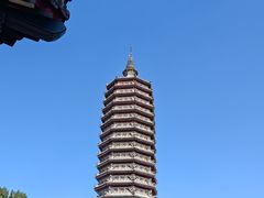 -西海子公园