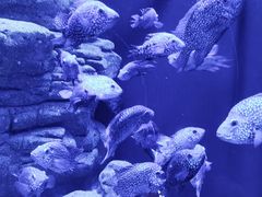 -成都浩海立方海洋公园