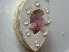 -Salon de Ville浦江汇(上海外滩华尔道夫酒店店)