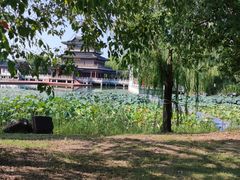 -石湖景区