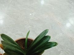 -张钰强中医正骨推拿连锁(唐家人才公寓店)