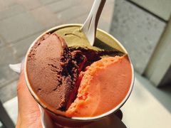 -Dip in Gelato(富民路店)