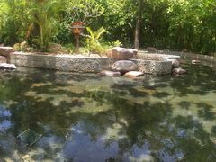 -三亚珠江南田温泉度假区