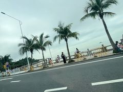-野狸岛