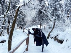 -九峰山