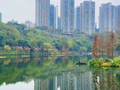 景点-重庆彩云湖湿地公园