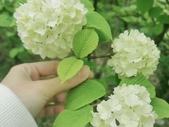 -杭州师范大学(下沙校区)