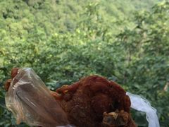 -秦氏环球炸鸡(解放北路店)
