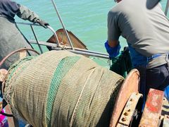 -日照世帆赛基地