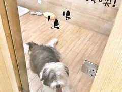 -Double Rui宠物酒店
