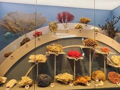 -中国湿地博物馆