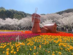 -苏州上方山国家森林公园