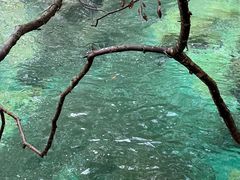 -祁门牯牛降观音堂风景区