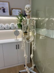 -颜和骨正·明哲式骨相美学整骨