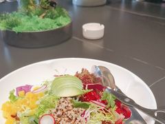 -秀儿四九城·新京菜(亚运村鸟巢店)