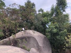 -火炉山森林公园