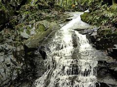 -藏龙百瀑风景区