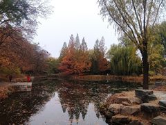 -颐和园