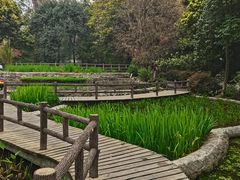 -成都市活水公园