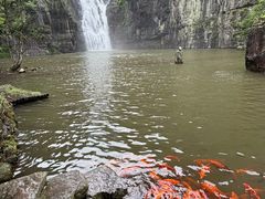 -刘伯温故里景区百丈漈