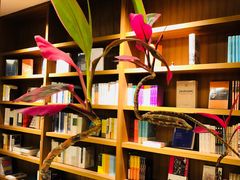 -二酉书店TOYOU BOOKS