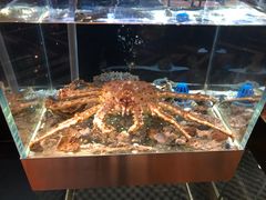 水产区-璞御·海鲜·雪花牛肉局(宾水西道店)