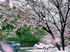 -徐图港(地铁站)