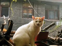 -何适山庄 ·可团建(水长城P2停车场店)