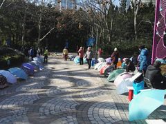 -人民公园-相亲角
