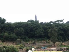-巢湖姥山岛